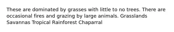 These are dominated by grasses with little to no trees. There are occasional fires and grazing by large animals. Grasslands Savannas Tropical Rainforest Chaparral