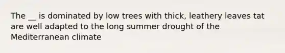 The __ is dominated by low trees with thick, leathery leaves tat are well adapted to the long summer drought of the Mediterranean climate