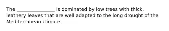 The ________________ is dominated by low trees with thick, leathery leaves that are well adapted to the long drought of the Mediterranean climate.