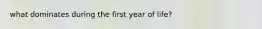 what dominates during the first year of life?