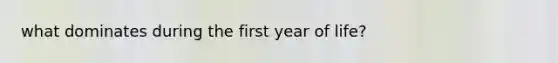 what dominates during the first year of life?