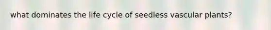 what dominates the life cycle of seedless vascular plants?