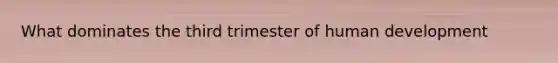 What dominates the third trimester of human development