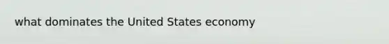 what dominates the United States economy