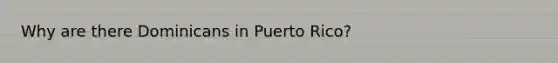 Why are there Dominicans in Puerto Rico?