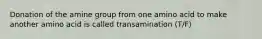 Donation of the amine group from one amino acid to make another amino acid is called transamination (T/F)