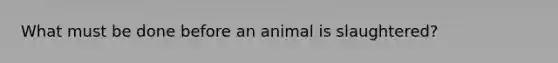 What must be done before an animal is slaughtered?