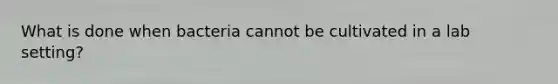 What is done when bacteria cannot be cultivated in a lab setting?