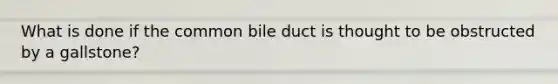 What is done if the common bile duct is thought to be obstructed by a gallstone?