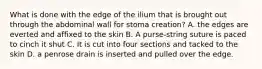 What is done with the edge of the ilium that is brought out through the abdominal wall for stoma creation? A. the edges are everted and affixed to the skin B. A purse-string suture is paced to cinch it shut C. It is cut into four sections and tacked to the skin D. a penrose drain is inserted and pulled over the edge.