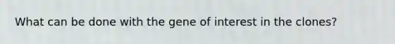 What can be done with the gene of interest in the clones?