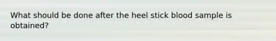 What should be done after the heel stick blood sample is obtained?