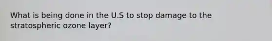What is being done in the U.S to stop damage to the stratospheric ozone layer?