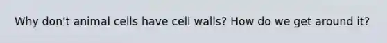 Why don't animal cells have cell walls? How do we get around it?