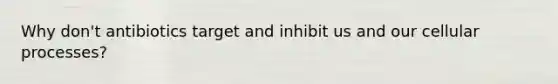 Why don't antibiotics target and inhibit us and our cellular processes?