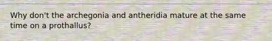 Why don't the archegonia and antheridia mature at the same time on a prothallus?