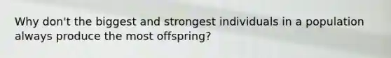 Why don't the biggest and strongest individuals in a population always produce the most offspring?