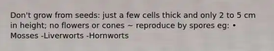 Don't grow from seeds: just a few cells thick and only 2 to 5 cm in height; no flowers or cones ~ reproduce by spores eg: • Mosses -Liverworts -Hornworts