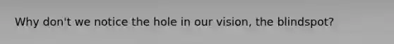 Why don't we notice the hole in our vision, the blindspot?