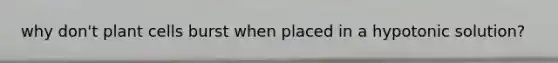 why don't plant cells burst when placed in a hypotonic solution?