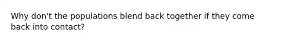 Why don't the populations blend back together if they come back into contact?