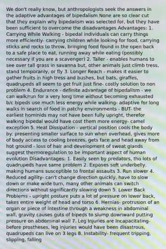 We don't really know, but anthropologists seek the answers in the adaptive advantages of bipedalism None are so clear cut that they explain why bipedalism was selected for, but they have been sufficient to overcome the disadvantages Advantages: 1. Carrying While Walking - bipedal individuals can carry things more efficiently- carrying children while looking for food, carrying sticks and rocks to throw, bringing food found in the open back to a safe place to eat, running away while eating (possibly necessary if you are a scavenger) 2. Taller - enables humans to see over tall grass in savanna but, other animals just climb tress, stand temporarily, or fly 3. Longer Reach - makes it easier to gather fruits in high tress and bushes, but bats, giraffes, quadrupeds all seem to get fruit just fine- costly solution to non problem 4. Endurance - definite advantage of bipedalism - we can walk/run for a very long time without becoming exhausted b/c bipeds use much less energy while walking- adaptive for long walks in search of food in patchy environments - BUT- the earliest hominids may not have been fully upright, therefor walking bipedal would have cost them more energy- camel exception 5. Heat Dissipation - vertical position cools the body by: presenting smaller surface to sun when overhead, gives more of body access to cooling breezes, gets face and head away from hot ground - loss of hair and development of sweat glands suggest thermoregulation to be important aspect of human evolution Disadvantages: 1. Easily seen by predators, tho lots of quadrupeds have same problem 2. Exposes soft underbelly, making humans susceptible to frontal assaults 3. Run slower 4. Reduced agility- can't change direction quickly, have to slow down or make wide turn, many other animals can switch directions without significantly slowing down 5. Lower Back Problems - upright posture puts a lot of pressure on lower back, takes entire weight of head and torso 6. Hernias- protrusion of an organ or piece of intestine through a weakness in abdominal wall, gravity causes guts of bipeds to slump downward putting pressure on abdominal wall 7. Leg Injuries are Incapacitating- before prostheses, leg injuries would have been disastrous, quadrupeds can live on 3 legs 8. Instability- frequent tripping, slipping, falling