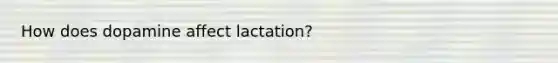 How does dopamine affect lactation?