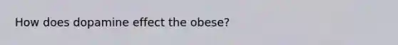 How does dopamine effect the obese?