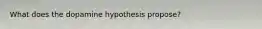 What does the dopamine hypothesis propose?