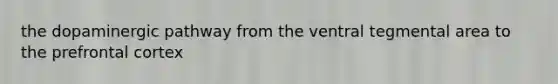 the dopaminergic pathway from the ventral tegmental area to the prefrontal cortex