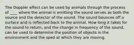 The Doppler effect can be used by animals through the process of ____ where the animal is emitting the sound serves as both the source and the detector of the sound. The sound bounces off a surface and is reflected back to the animal. How long it takes for the sound to return, and the change in frequency of the sound, can be used to determine the position of objects in the environment and the sped at which they are moving.