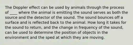 The Doppler effect can be used by animals through the process of ____ where the animal is emitting the sound serves as both the source and the detector of the sound. The sound bounces off a surface and is reflected back to the animal. How long it takes for the sound to return, and the change in frequency of the sound, can be used to determine the position of objects in the environment and the sped at which they are moving.