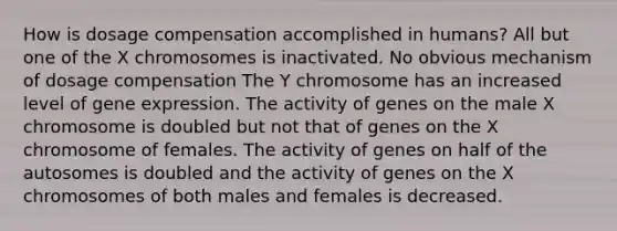 How is dosage compensation accomplished in humans? All but one of the X chromosomes is inactivated. No obvious mechanism of dosage compensation The Y chromosome has an increased level of gene expression. The activity of genes on the male X chromosome is doubled but not that of genes on the X chromosome of females. The activity of genes on half of the autosomes is doubled and the activity of genes on the X chromosomes of both males and females is decreased.