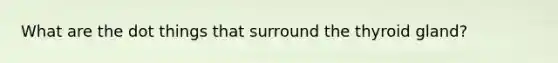 What are the dot things that surround the thyroid gland?