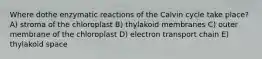 Where dothe enzymatic reactions of the Calvin cycle take place? A) stroma of the chloroplast B) thylakoid membranes C) outer membrane of the chloroplast D) electron transport chain E) thylakoid space