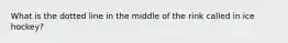 What is the dotted line in the middle of the rink called in ice hockey?