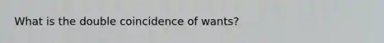 What is the double coincidence of wants?