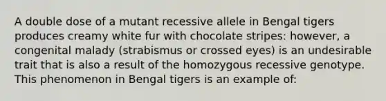 A double dose of a mutant recessive allele in Bengal tigers produces creamy white fur with chocolate stripes: however, a congenital malady (strabismus or crossed eyes) is an undesirable trait that is also a result of the homozygous recessive genotype. This phenomenon in Bengal tigers is an example of: