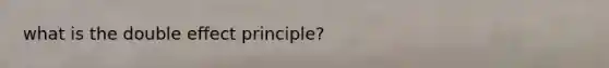 what is the double effect principle?