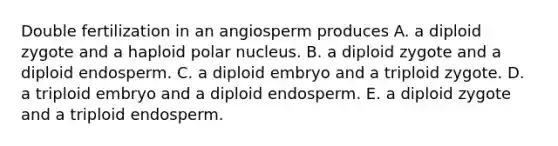 Double fertilization in an angiosperm produces A. a diploid zygote and a haploid polar nucleus. B. a diploid zygote and a diploid endosperm. C. a diploid embryo and a triploid zygote. D. a triploid embryo and a diploid endosperm. E. a diploid zygote and a triploid endosperm.