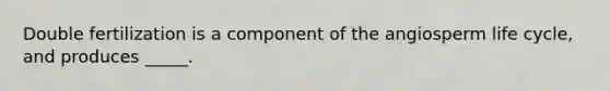 Double fertilization is a component of the angiosperm life cycle, and produces _____.