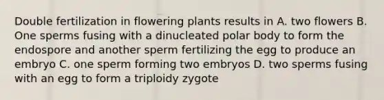 Double fertilization in flowering plants results in A. two flowers B. One sperms fusing with a dinucleated polar body to form the endospore and another sperm fertilizing the egg to produce an embryo C. one sperm forming two embryos D. two sperms fusing with an egg to form a triploidy zygote