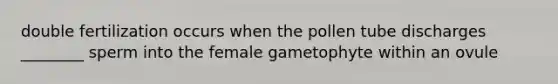 double fertilization occurs when the pollen tube discharges ________ sperm into the female gametophyte within an ovule