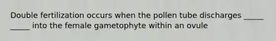 Double fertilization occurs when the pollen tube discharges _____ _____ into the female gametophyte within an ovule