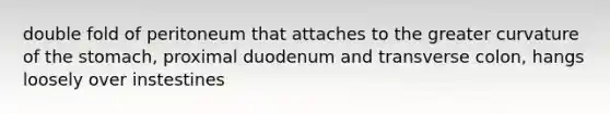 double fold of peritoneum that attaches to the greater curvature of the stomach, proximal duodenum and transverse colon, hangs loosely over instestines