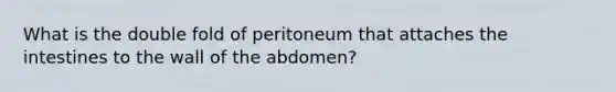 What is the double fold of peritoneum that attaches the intestines to the wall of the abdomen?