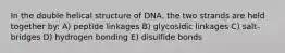 In the double helical structure of DNA, the two strands are held together by: A) peptide linkages B) glycosidic linkages C) salt-bridges D) hydrogen bonding E) disulfide bonds