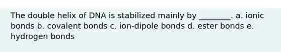 The double helix of DNA is stabilized mainly by ________. a. ionic bonds b. covalent bonds c. ion-dipole bonds d. ester bonds e. hydrogen bonds
