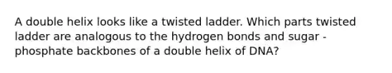 A double helix looks like a twisted ladder. Which parts twisted ladder are analogous to the hydrogen bonds and sugar - phosphate backbones of a double helix of DNA?