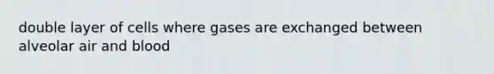 double layer of cells where gases are exchanged between alveolar air and blood